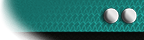 Lieutenant